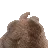 bunnydance