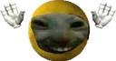 xddcaught