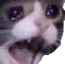 crycat