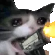 4063catgun