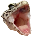 mouth_open_wide Discord emoji