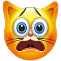 cat_despair