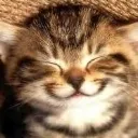 happy
