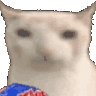 cat_eatChips Discord Emoji