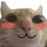 happysmilecat happysmilecat