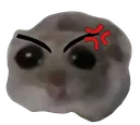 hamsterangry
