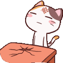 Zcatmeongfacetable Discord Emoji