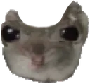 hamdentge