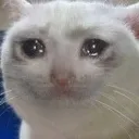 Crycat crycat Discord Emoji