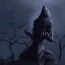 awoo