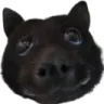 Bat
