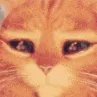 tpcat_plead