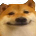 :dogesmug: