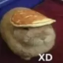 xd