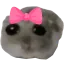 hamcute