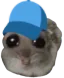 hamcap