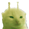 DiscoCat Discord Emoji