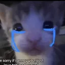 sowwy
