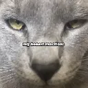 emoji_217