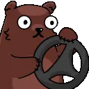 BearSteer