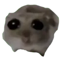 FG_sadhamster