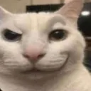 smirkycat