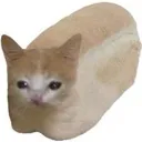 bread