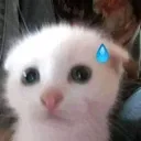 cun_meouajz