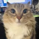 WHUHHH