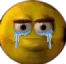 Sadgory