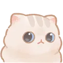 cat_Whuh2