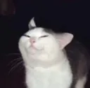 hehe