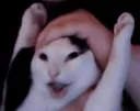 Cat4
