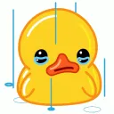 classiccry