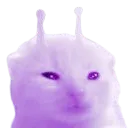 plorp