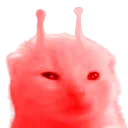 rlorp