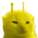 ylorp