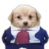 dogbusiness