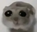 pwease