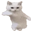 catTime