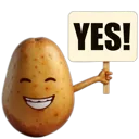 PotatoYes PotatoYes