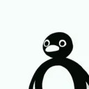 pinguestare
