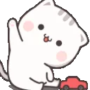 catshey_ggBundleupcom