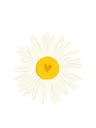 daisy daisy
