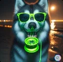 Huskyglow