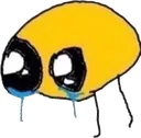 cry