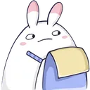 FluffleHmmNotes