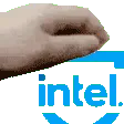 PetIntelMod
