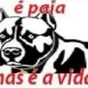 ehpaia ehpaia