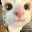 3_